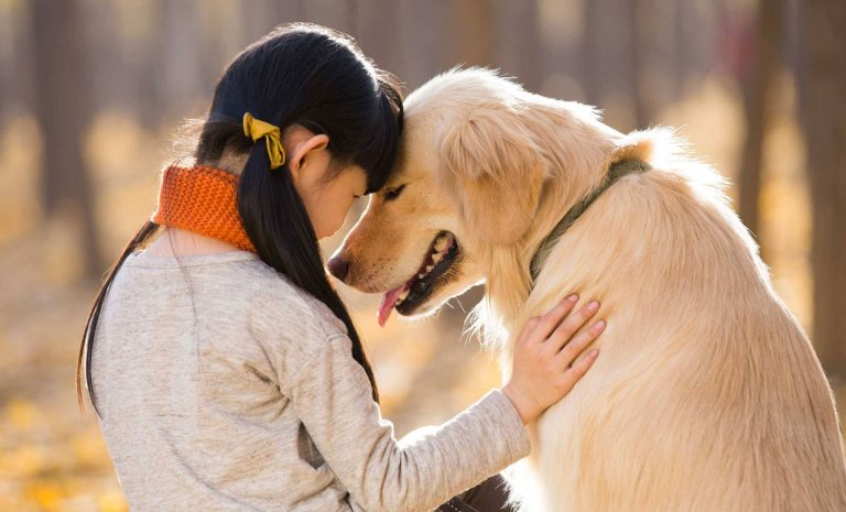 Yalova Spor Kulübü: Köpeğin Dövülmesi Olayı Gizlenmeyecek, Sorumlular Hesap Verecek