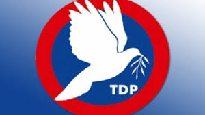 TDP Parti Meclisi: Seçim Kararı Acil Alınmalı